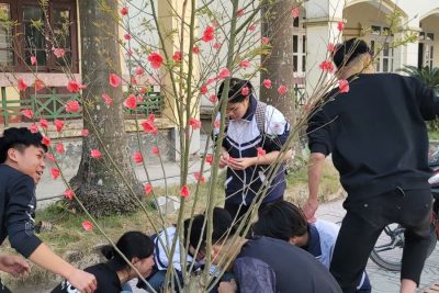 HOẠT ĐỘNG TRẢI NGHIỆM CHÀO XUÂN ẤT TỴ 2025